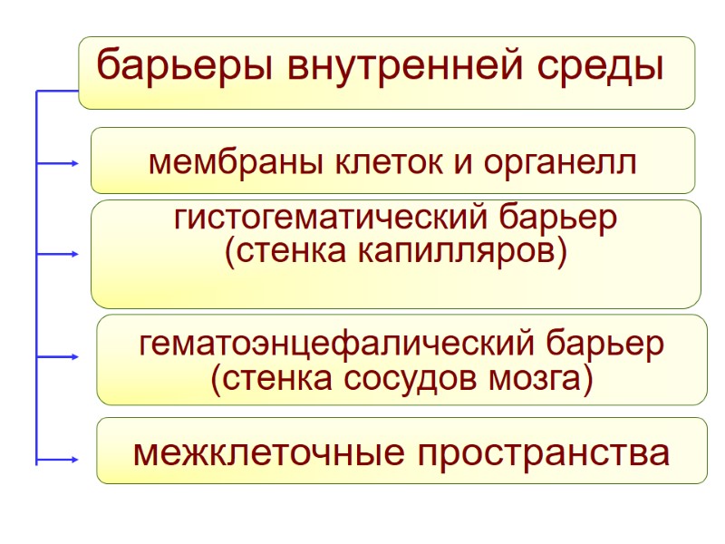 барьеры внутренней среды     мембраны клеток и органелл  гистогематический барьер